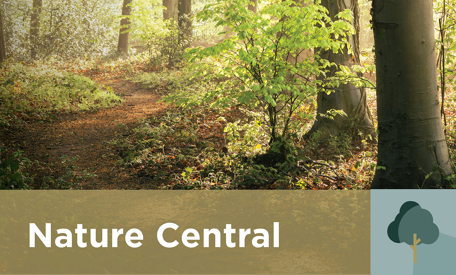 EQ Homes embrun Community