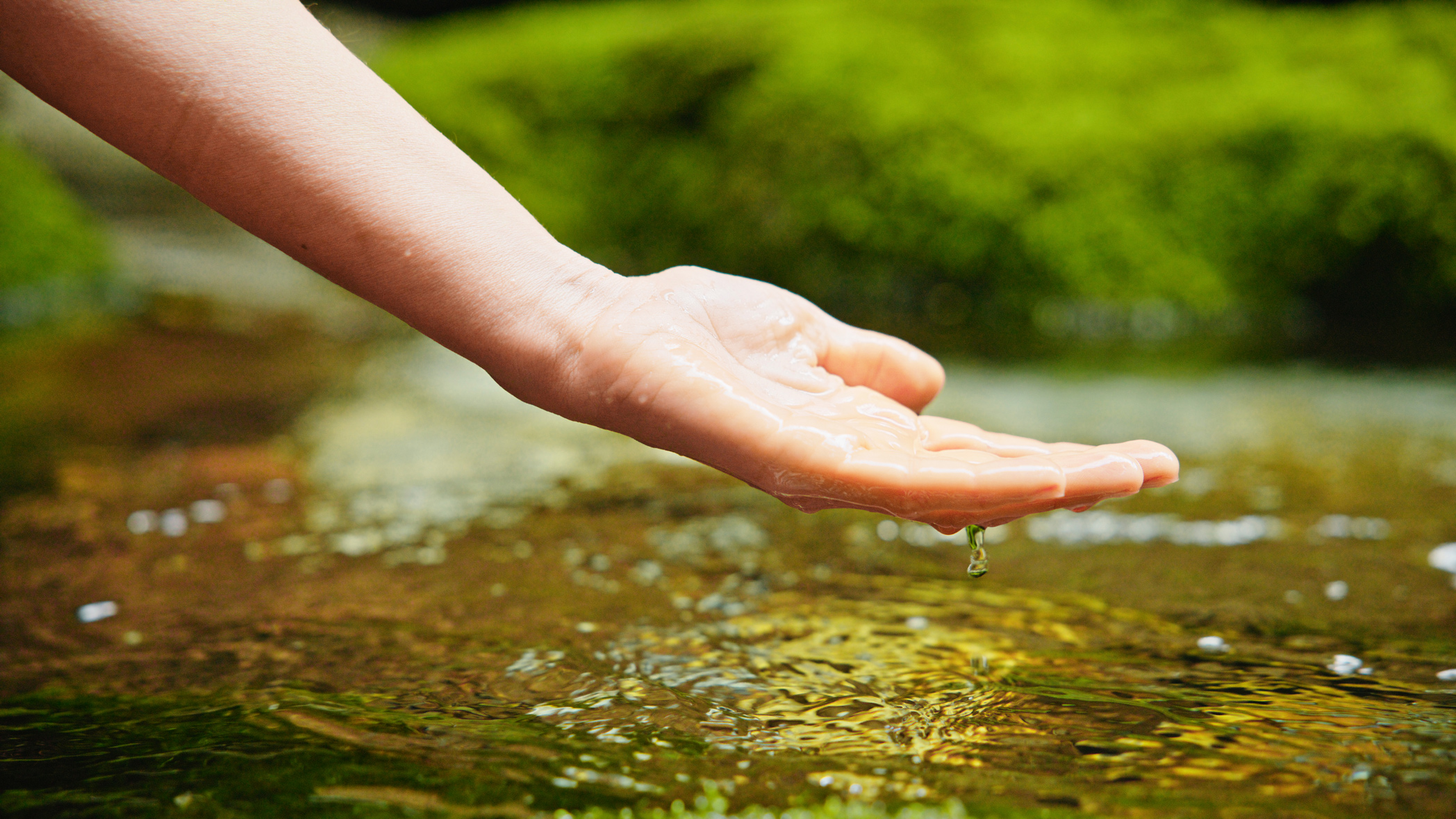 Preserving Green Space